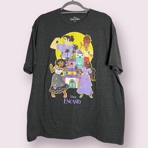Disney Encanto Adult Graphic Grey T-Shirt